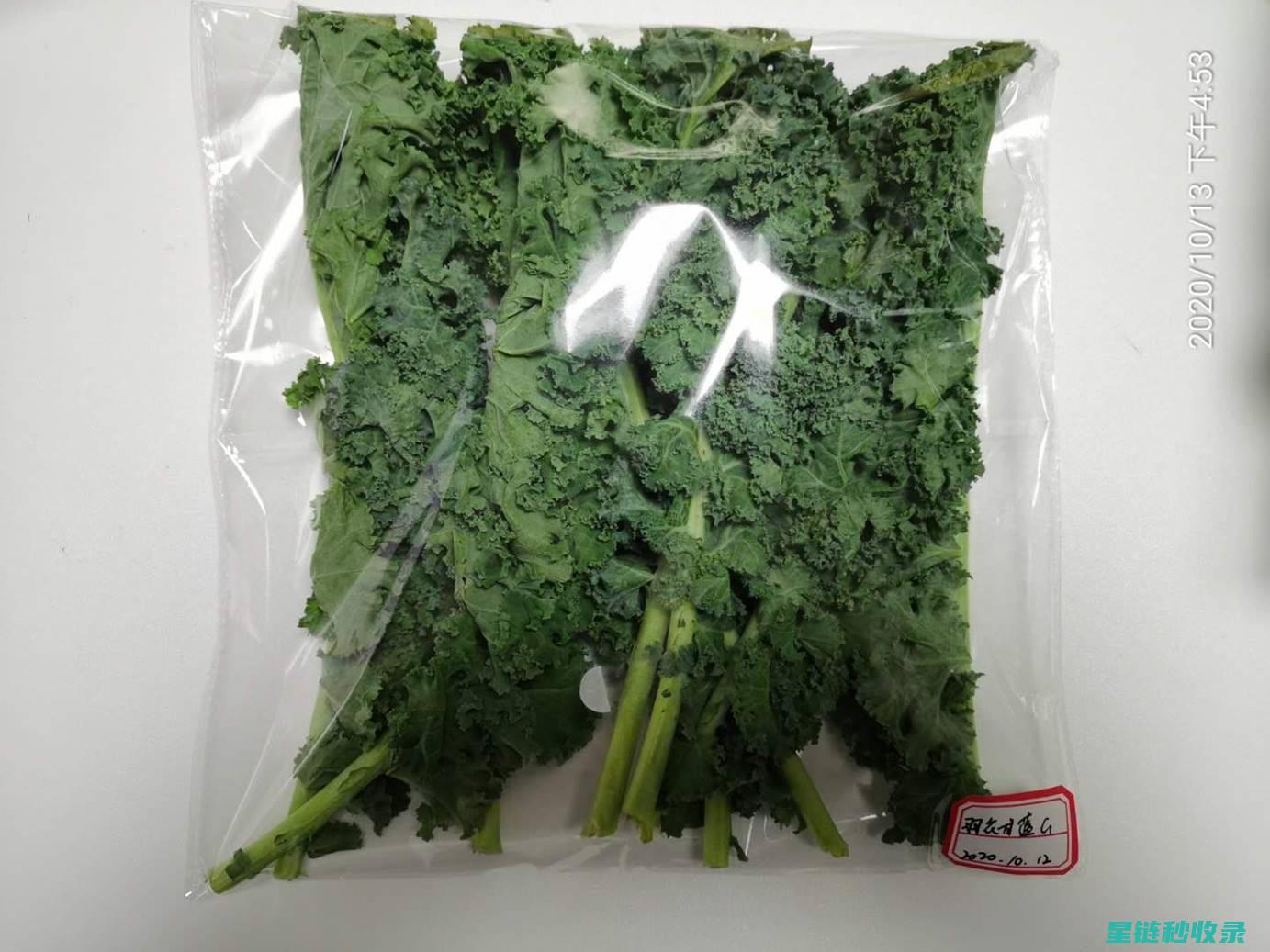 蔬菜保鲜妙招大揭秘：延长储存时间的实用技巧 (蔬菜保鲜妙招大全)