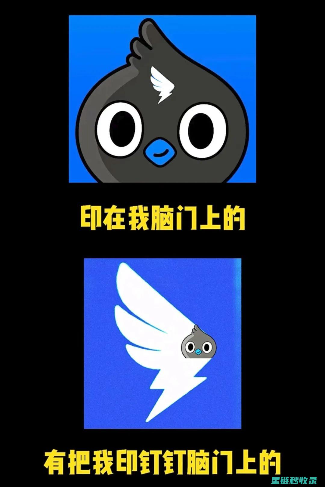 不同场景下钉子固定的最佳方法指南 (在不同的场合)