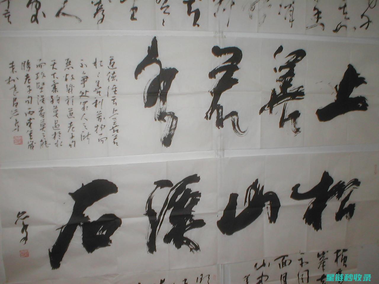 深入探索书法艺术：从初学者到大师的练习之路 (书法探求)