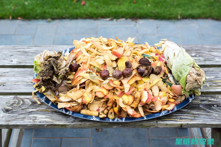 探索厨余堆肥之道：自然循环中的宝藏肥料秘密 (厨余堆肥怎么用)