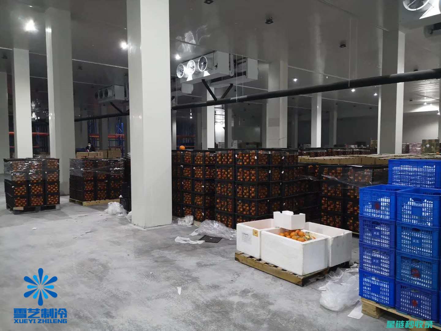 延长水果保鲜时间的小妙招，你学会了吗？ (延长水果保鲜期存放方法)