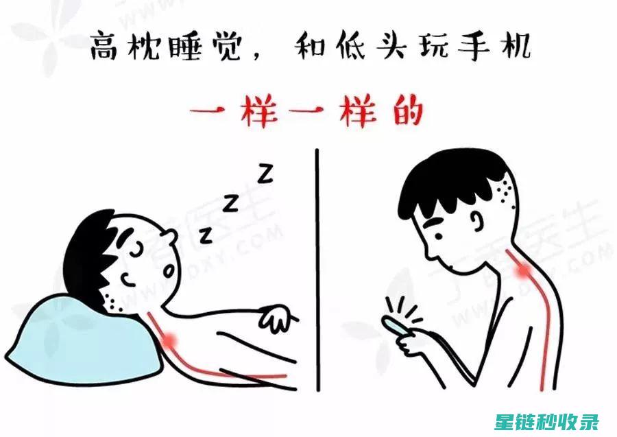 枕头上为什么会有螨虫？清除指南 (枕头上为什么会有黄污渍)