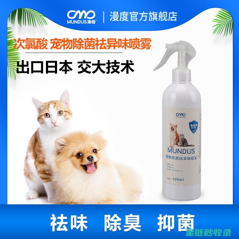 宠物异味去除：你是否忽略了这些关键步骤？ (宠物异味去除剂)