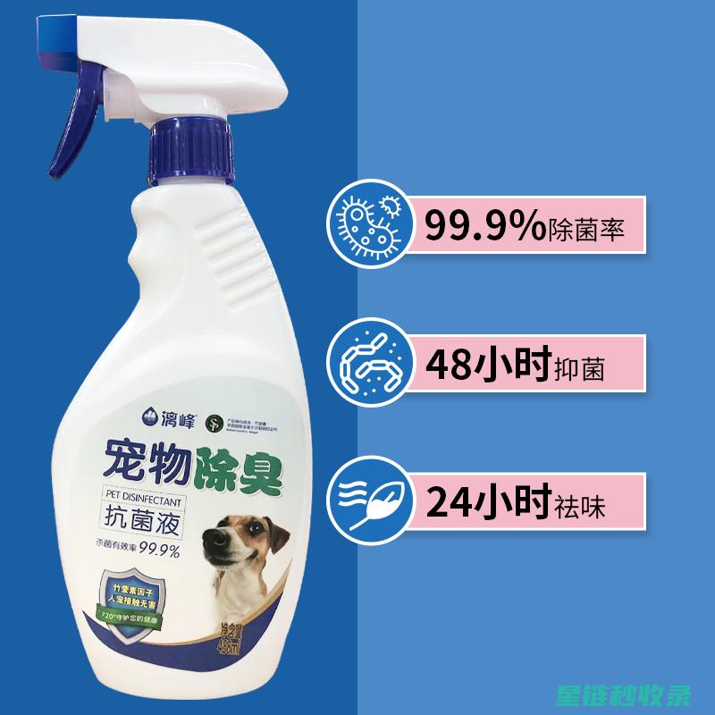 宠物异味去除：从饮食调理到环境清洁，全方位解析 (宠物异味去除公司)