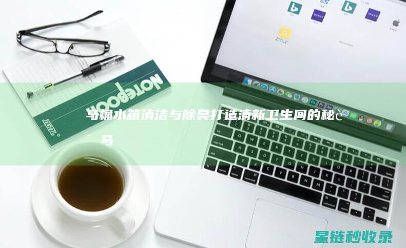 马桶水箱清洁与除臭：打造清新卫生间的秘诀 (马桶水箱清洁蓝色放水里叫什么)