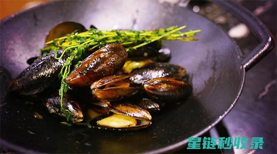 贝类吐沙现象：海洋生物的适应性进化 (贝类 吐沙)