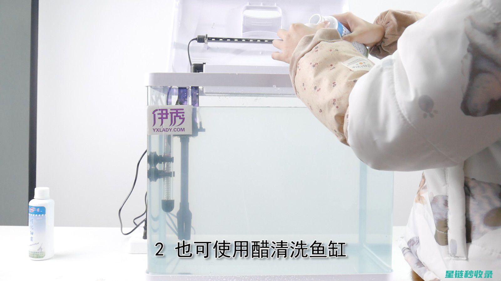 鱼缸清洁与鱼群健康：两者之间的关系 (鱼缸清洁与鱼缸的区别)