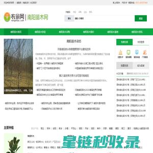 南阳苗木_南阳苗木基地_7月南阳苗木价格_南阳苗木网-农苗网